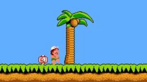 Hudson's Adventure Island screenshot 5