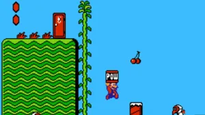 Super Mario Bros 2 screenshot 2